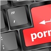 Красноярца заподозрили в распространении порнографии