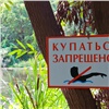 Названы запрещенные места для купания в Красноярске и крае