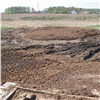Свиноферма из Манского района нанесла ущерб природе на 3 млн рублей