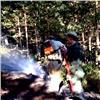 Любители шашлыков устроили пожар в красноярском заповеднике «Столбы»
