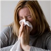 Красноярцы ищут в интернете симптомы свиного гриппа