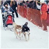 Эвенкийские спортсмены впервые стали участниками гонок на собачьих упряжках