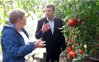 На Дне помидора в Минусинске победил томат весом 1,8 кг