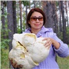 В Шушенском районе нашли гигантский гриб