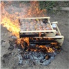 В Красноярске сожгли 35 кг персиков