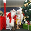 Рождественский «детский сад» и мини-зоопарк откроются на ярмарке в МВДЦ «Сибирь»