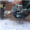 В красноярском Северном разбили автомобиль «вазой для конфет»
