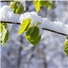 После прохладных выходных в Красноярск придет весна