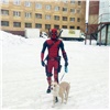«Надеюсь, костюм с начёсом»: «Дэдпул» с собакой в снегах посмешил норильчан