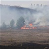Поджигатели устроили первый лесной пожар сезона