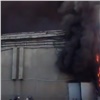 На левобережье Красноярска горит здание торгового центра (видео)