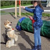 Красноярские школьники приходят на уроки вместе с собаками