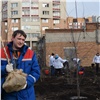 Экомарафон «Зеленой дружины» подарил Красноярску новый сквер