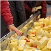 В красноярских магазинах нашли ненастоящий сыр