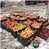 На красноярском складе в третий раз за полгода нашли запрещенные яблоки