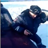 Разгневанные селяне напали на полицейских с ледовым буром (видео)