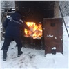 В Красноярске сожгли еще 100 кг фруктов и семян из ближнего зарубежья