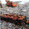 Полтонны санкционных фруктов ушло на свалку в Красноярске