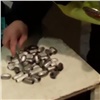 Молодой тувинец пытался увезти в Новосибирск «конфеты» с гашишем (видео)