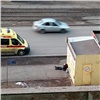 На правобережье Красноярска на остановке умер мужчина