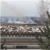 В Сосновоборске из-за коммунальщиков не смогли потушить горящее поле 