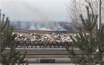 В Сосновоборске из-за коммунальщиков не смогли потушить горящее поле