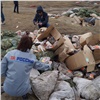 «Парк грязного периода»: в Красноярске обнаружили огромную незаконную свалку