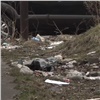 «Вокруг дома свалка, бегают крысы»: жители дома на Металлургов страдают от кучи мусора во дворе (видео)