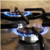 Владельцам газовых плит хотят понизить тариф на электроэнергию
