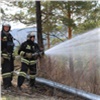 С начала года поджигатели леса в Красноярском крае пополнили бюджет на 1,5 миллиона