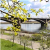 Последняя неделя весны в Красноярске начнется с 30-градусной жары 