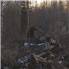 Деревни на севере Красноярского края страдают от нашествия медведей (видео)