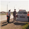 В Емельяновском районе заступил на дежурство «картонный полицейский»
