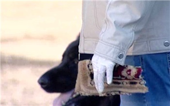 На севере края собака ГУФСИН помогла раскрыть убийство без свидетелей