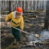 В Красноярском крае из экономии не будут тушить лесные пожары