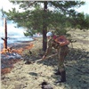 В Красноярском крае за сутки почти вдвое выросла площадь лесных пожаров 