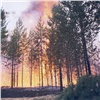 За выходные лесные пожары в Красноярском крае увеличились по площади на 10 тысяч гектаров