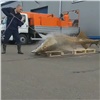 «Мелочь из носа и чешуя до блеска»: красноярцам показали ремонт Царь-рыбы (видео)