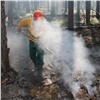 В Красноярском крае резко снизилась площадь лесных пожаров