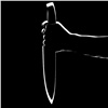 «37 раз ударил ножом»: ачинец изнасиловал пасынка и пытался убить его мать