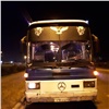 «Неисправные тормоз и рулевое, неработающие фонари и лысая резина»: из Красноярска не выпустили очередной опасный автобус с иностранцами 