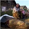 «Мы не забираем безродных»: умерший житель Канского района целый день пролежал на улице (видео)