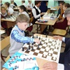 СУЭК помогает школьникам из Шарыпово изучать шахматы