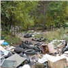 Рядом с поселком Манский нашли «каньон мусора». Министерство экологии проведет проверку