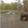 В Ветлужанке медведь вышел к людям (видео)