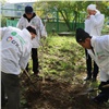 Красноярцы и работники УК «ЖСК» высадили во дворах молодые березы, яблони и рябины