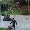 В Зеленой роще неизвестный похитил цветы с только что открывшегося памятника (видео)