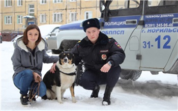 В Норильске полицейские и спасатели вытащили из ледяной воды бродячего пса