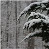На длинных выходных Красноярск засыпет снегом. В городе будет пасмурно и умеренно тепло