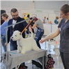 На выставке «Зоомир» в Красноярске пройдет всероссийский конкурс стрижек для собак